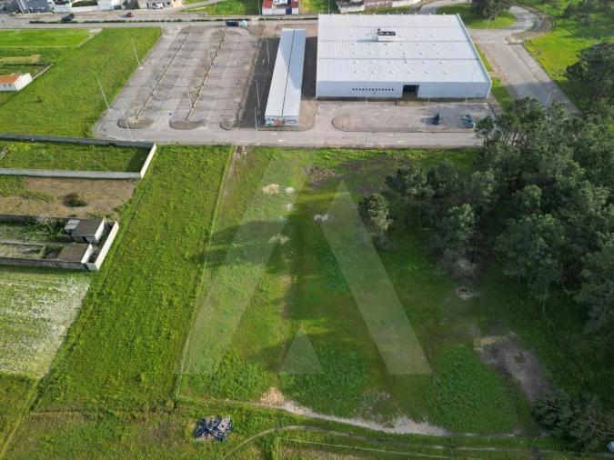 Terreno para Venda em Gafanha da Nazaré Foto 13
