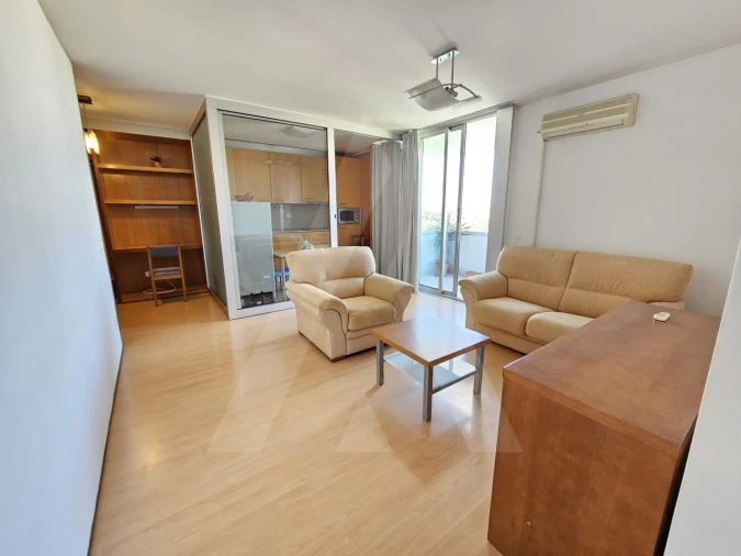 Apartamento T1 para Arrendamento em Aradas Foto 1