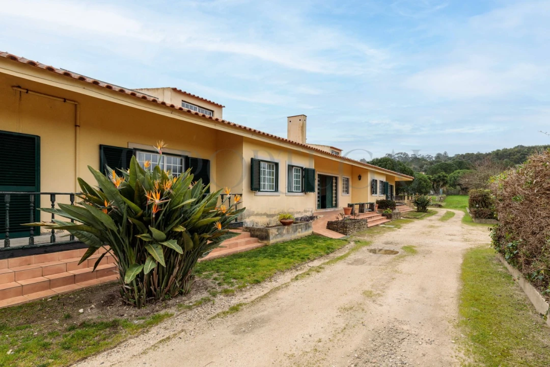 Quinta T10 para Venda em Colares Foto 3