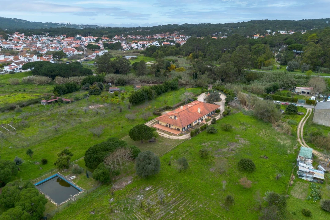 Quinta T10 para Venda em Colares Foto 28