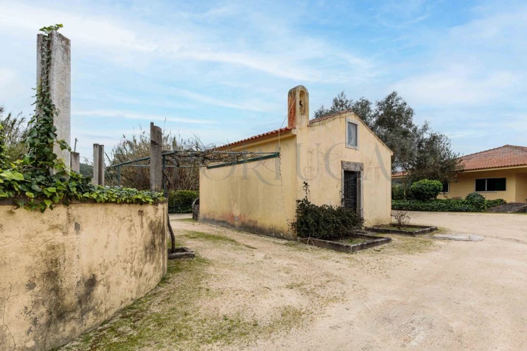 Quinta T10 para Venda em Colares Foto 32