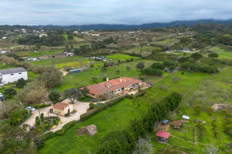 Quinta T10 para Venda em Colares