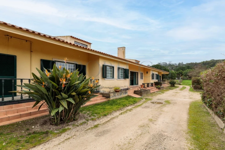 Quinta T10 para Venda em Colares Foto 3