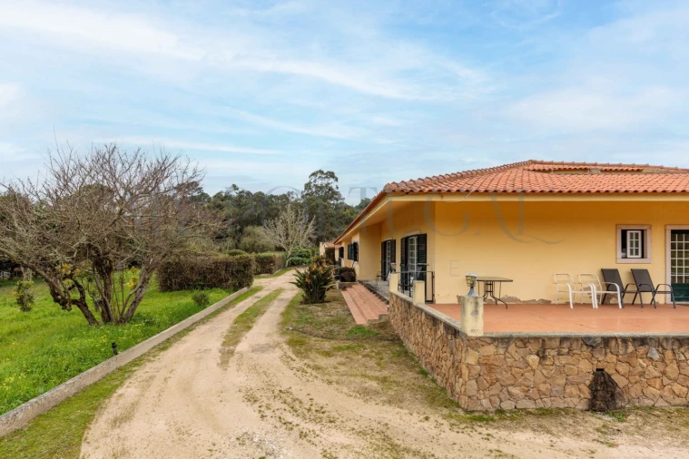 Quinta T10 para Venda em Colares Foto 4