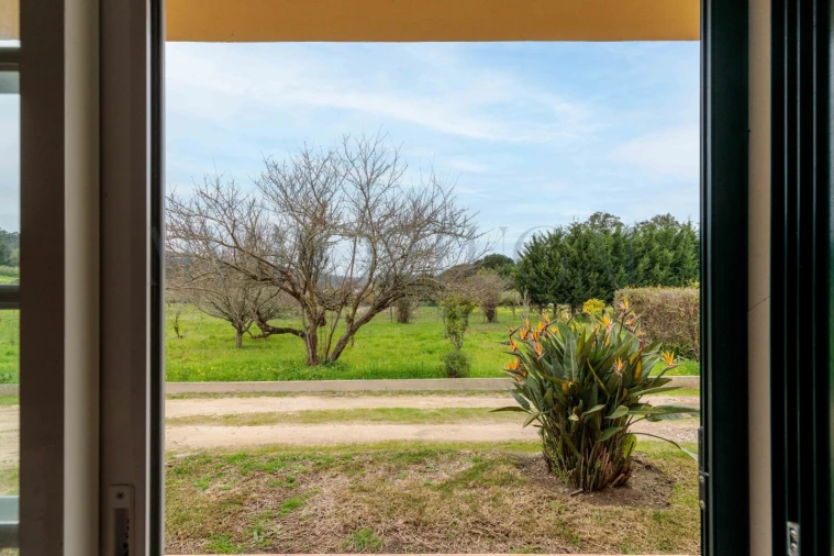 Quinta T10 para Venda em Colares Foto 20