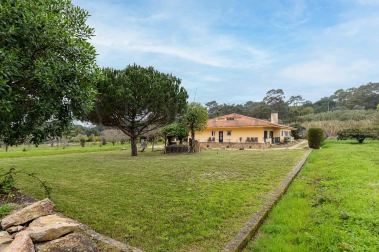 Quinta T10 para Venda em Colares Foto 29