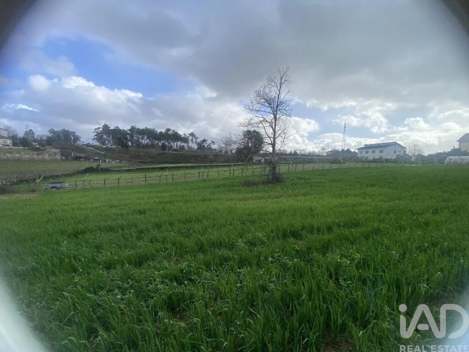 Terreno para Venda em Monção e Troviscoso Foto 4