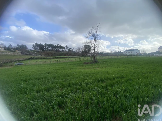 Terreno para Venda em Monção e Troviscoso Foto 4