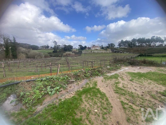 Terreno para Venda em Monção e Troviscoso Foto 3