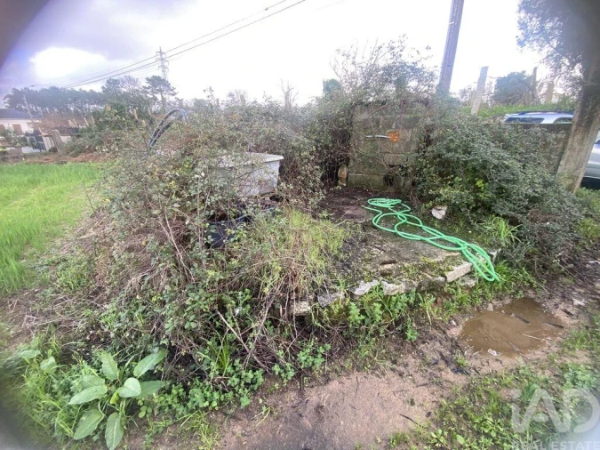 Terreno para Venda em Monção e Troviscoso Foto 6