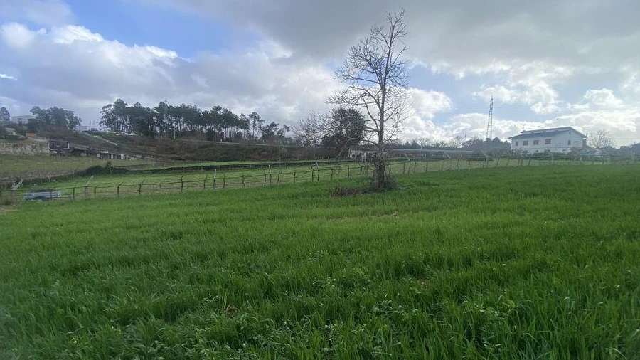 Terreno para Venda em Monção e Troviscoso