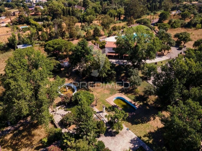 Quinta T7 para Venda em Gambia-Pontes-Alto da Guerra Foto 7