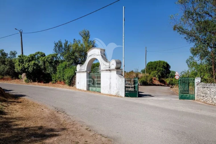 Quinta T7 para Venda em Gambia-Pontes-Alto da Guerra Foto 4