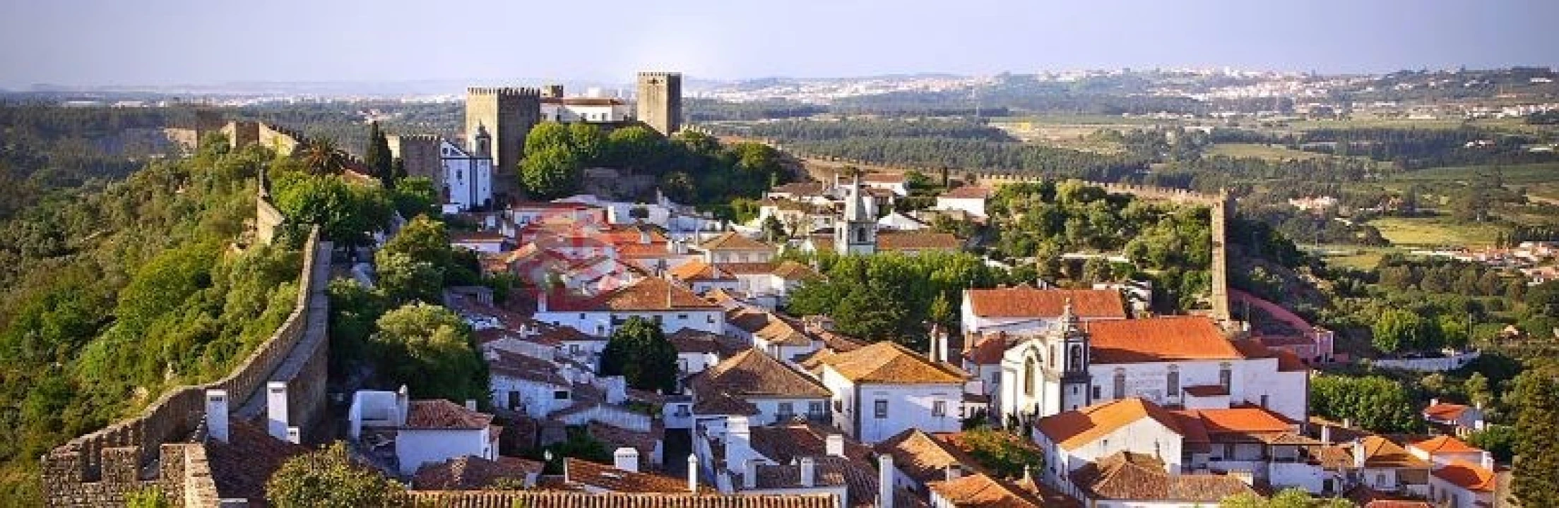 Terreno para Venda em Santa Maria, São Pedro e Sobral da Lagoa Foto 10