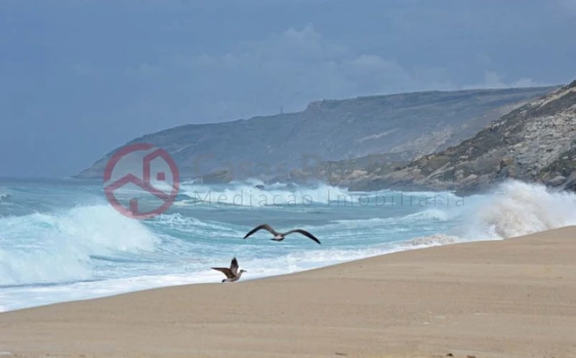 Terreno para Venda em Santa Maria, São Pedro e Sobral da Lagoa Foto 14