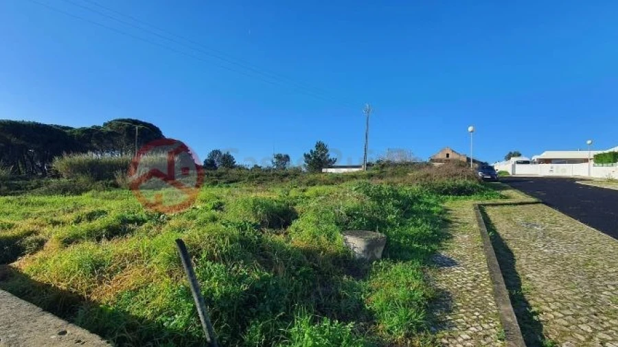 Terreno para Venda em Santa Maria, São Pedro e Sobral da Lagoa