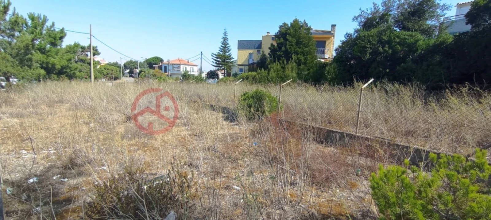 Terreno para Venda em Amora Foto 9