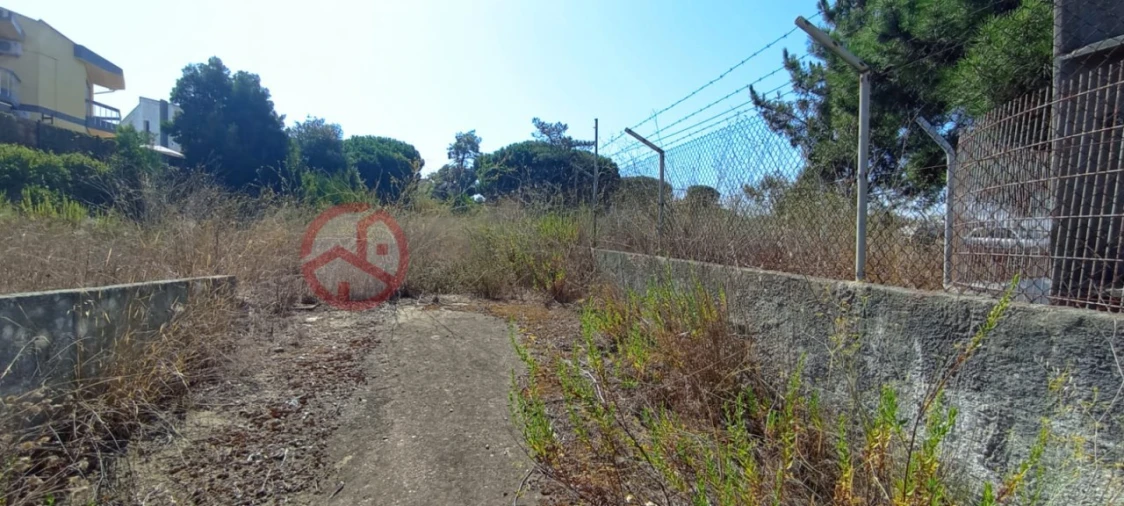 Terreno para Venda em Amora Foto 1