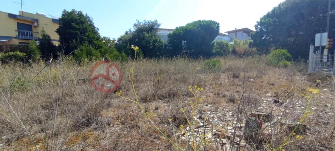 Terreno para Venda em Amora Foto 4