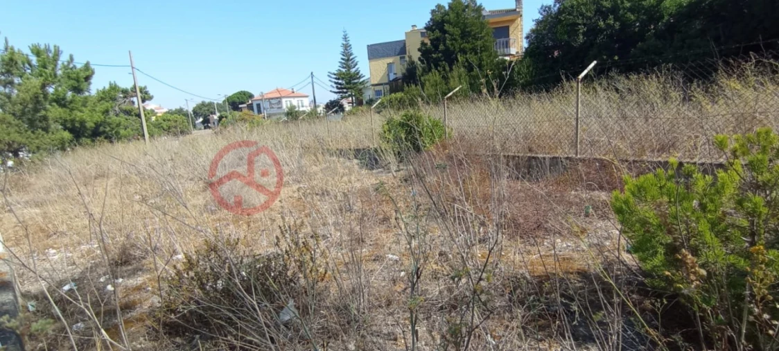 Terreno para Venda em Amora Foto 7