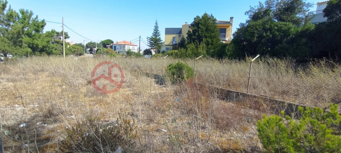 Terreno para Venda em Amora Foto 9