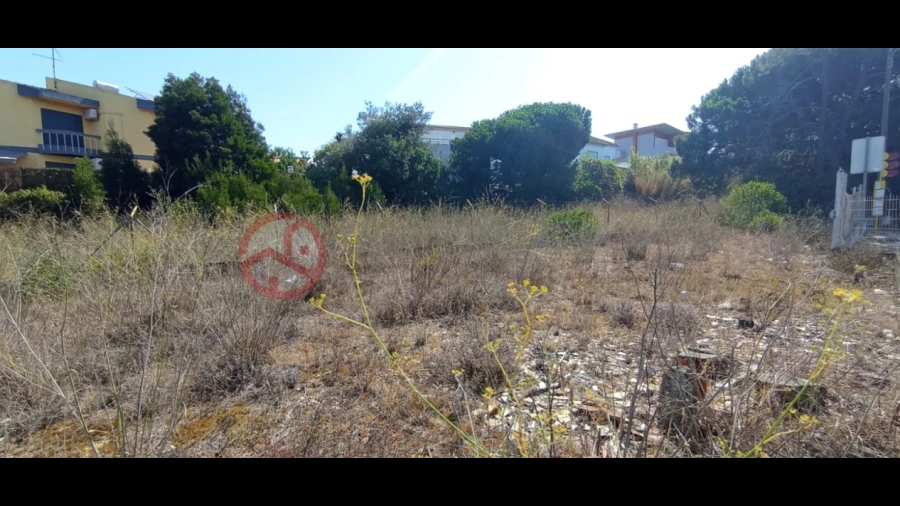 Terreno para Venda em Amora