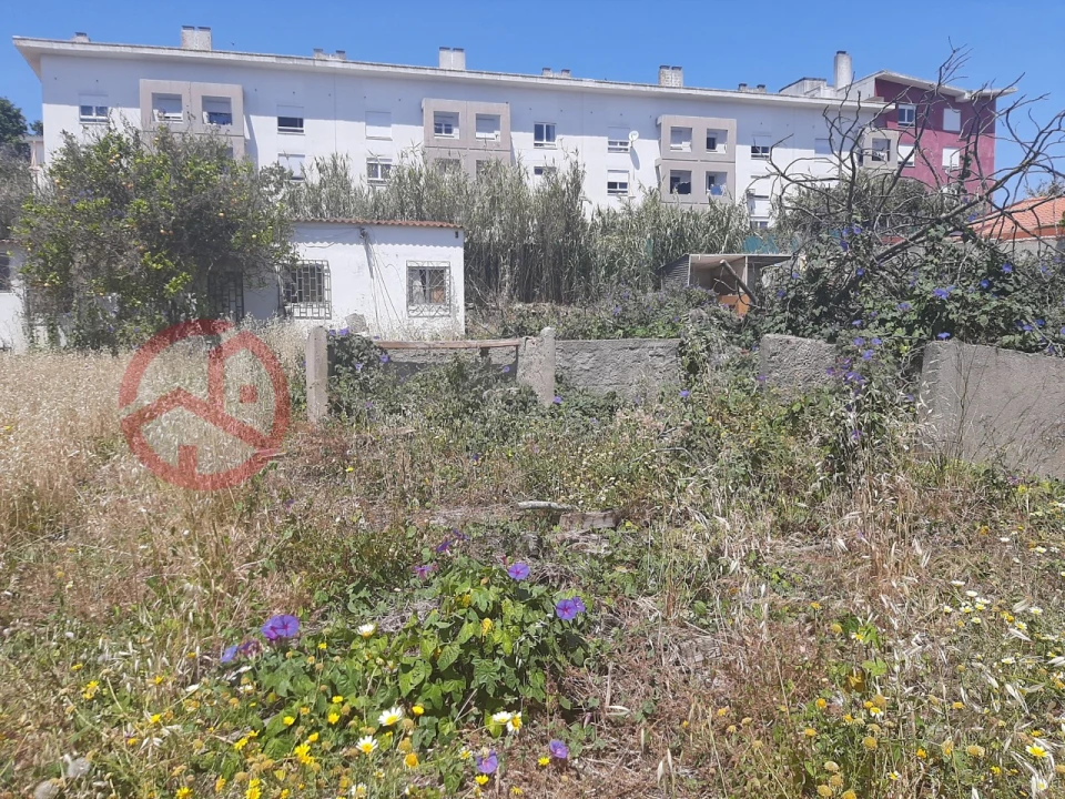 Terreno para Venda em Ajuda Foto 5
