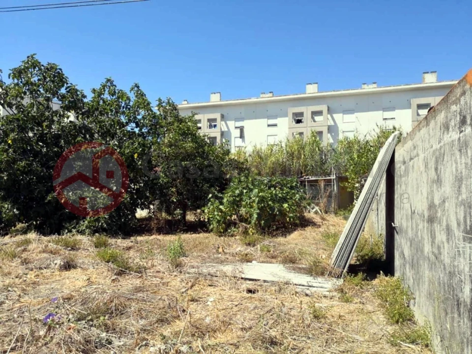 Terreno para Venda em Ajuda Foto 6