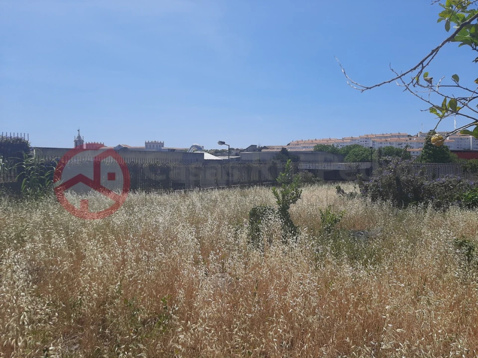 Terreno para Venda em Ajuda Foto 11