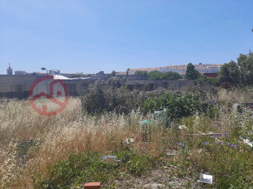 Terreno para Venda em Ajuda Foto 12
