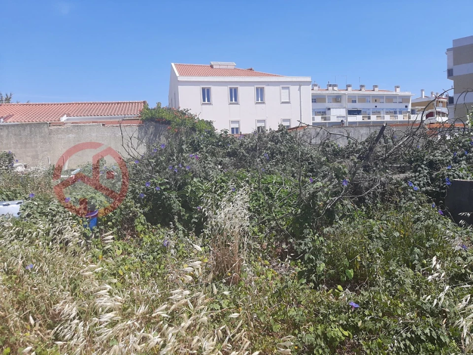 Terreno para Venda em Ajuda Foto 14