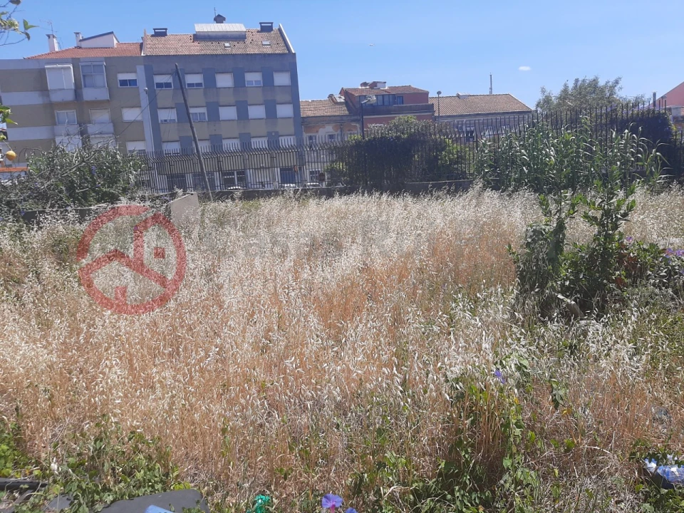 Terreno para Venda em Ajuda Foto 16