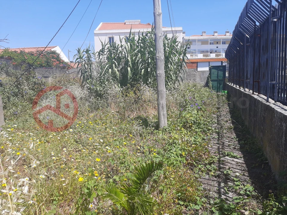 Terreno para Venda em Ajuda Foto 17
