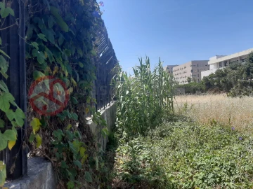 Terreno para Venda em Ajuda