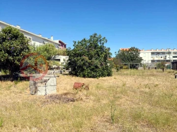 Terreno para Venda em Ajuda