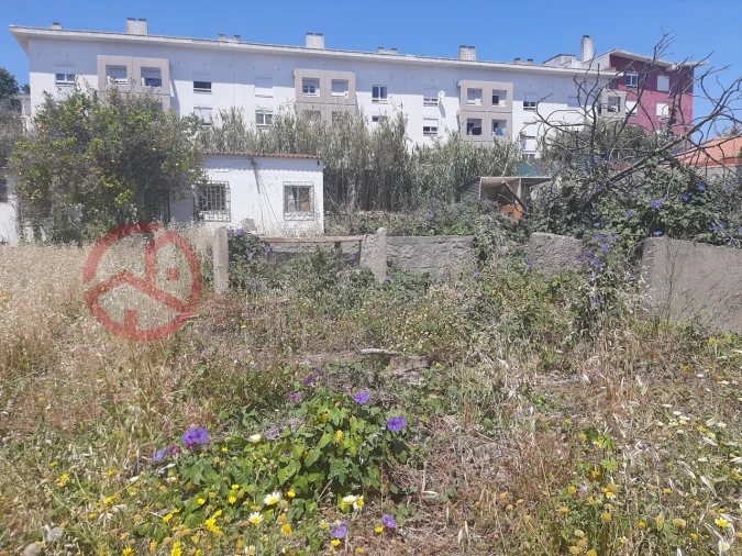 Terreno para Venda em Ajuda Foto 5