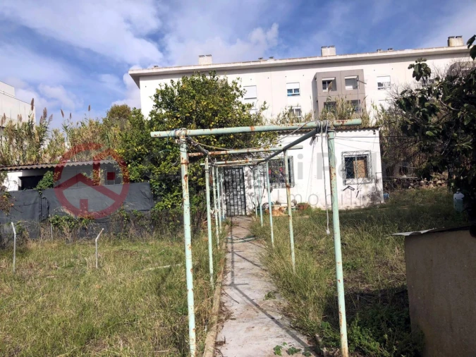 Terreno para Venda em Ajuda Foto 7
