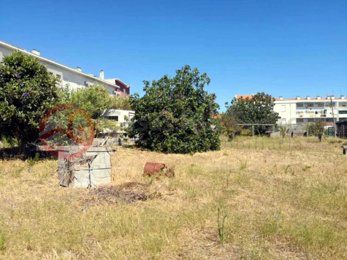 Terreno para Venda em Ajuda Foto 10