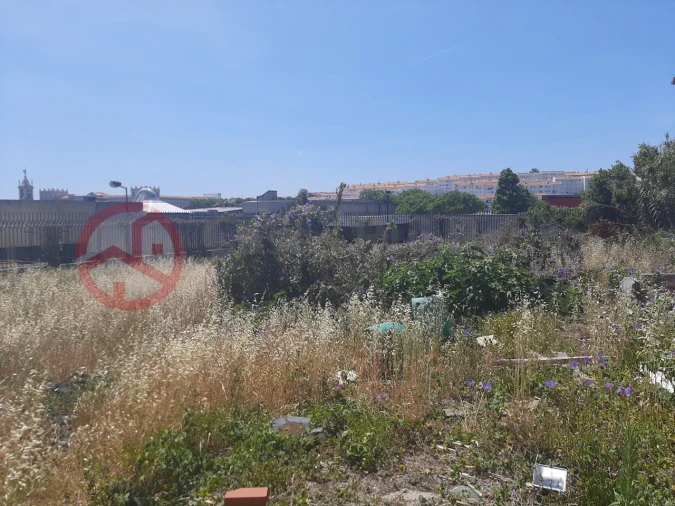 Terreno para Venda em Ajuda Foto 12