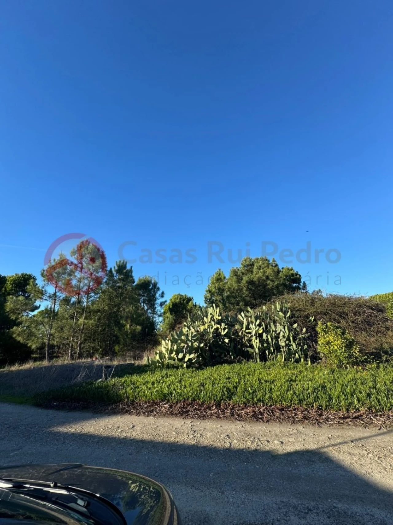 Terreno para Venda em Melides Foto 5