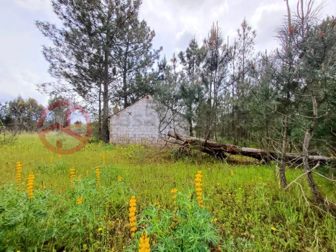Terreno para Venda em Melides Foto 3