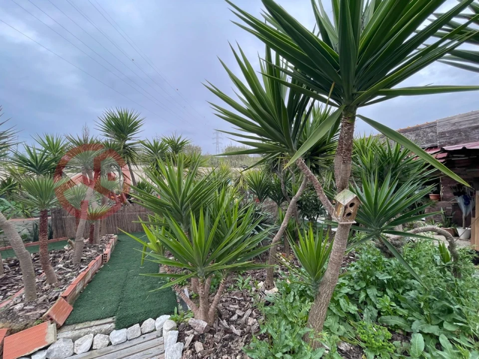 Terreno para Venda em Charneca de Caparica e Sobreda Foto 13