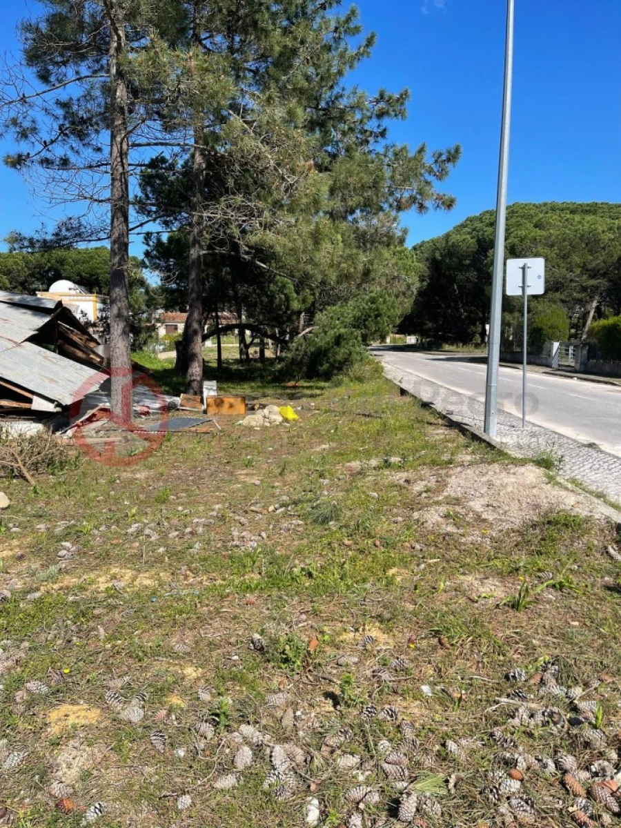 Terreno para Venda em Sesimbra (Castelo) Foto 6