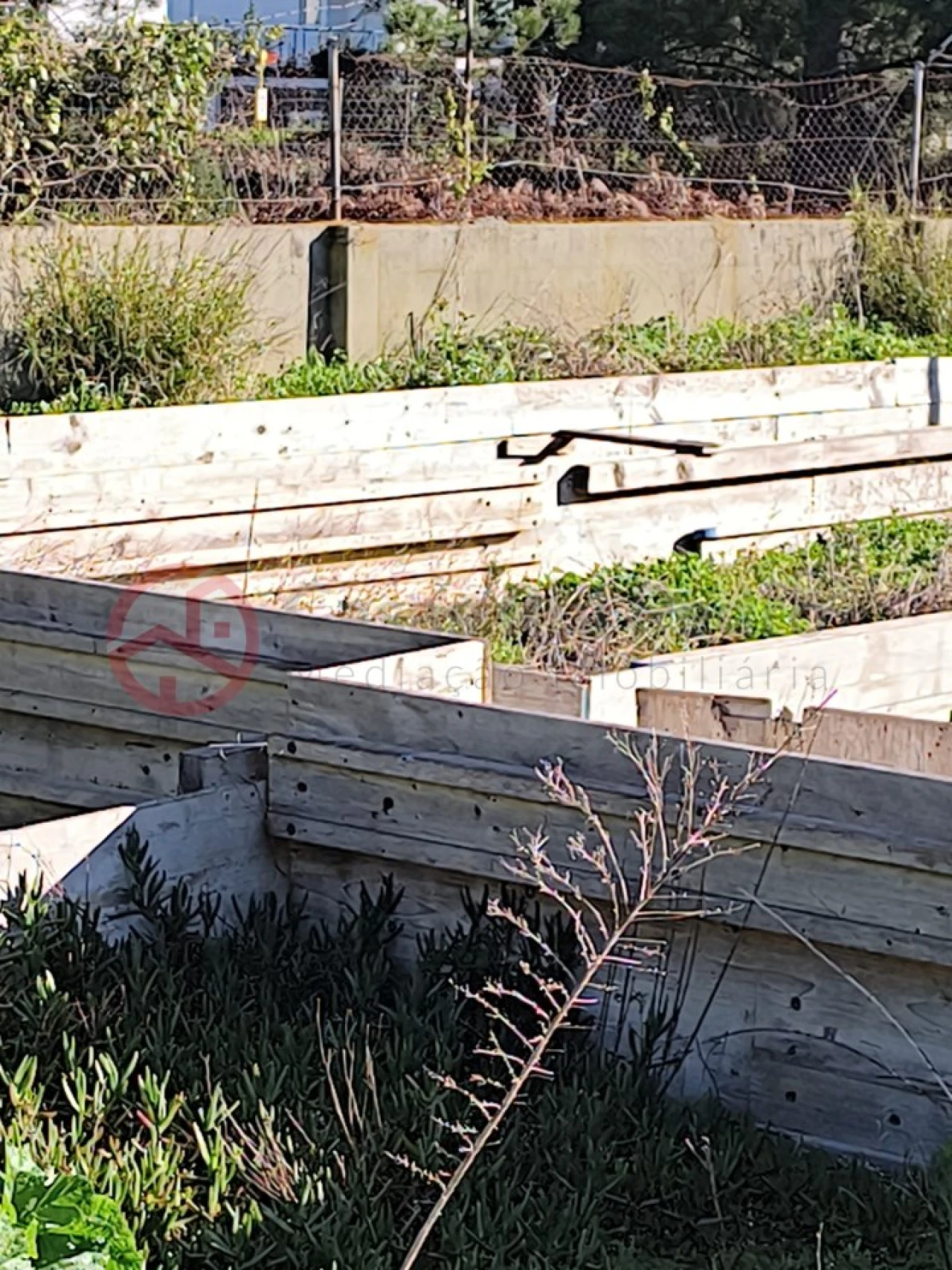 Terreno para Venda em Fernao Ferro Foto 3