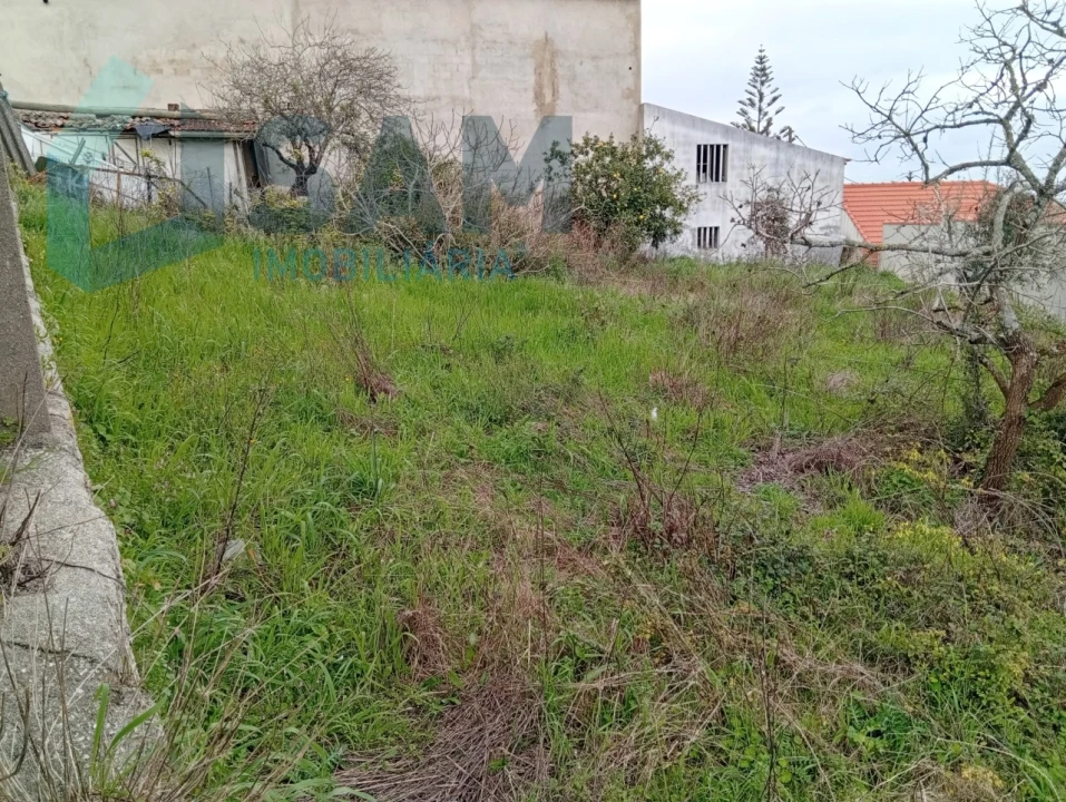 Moradia T1 para Venda em Carvoeira e Carmões Foto 11