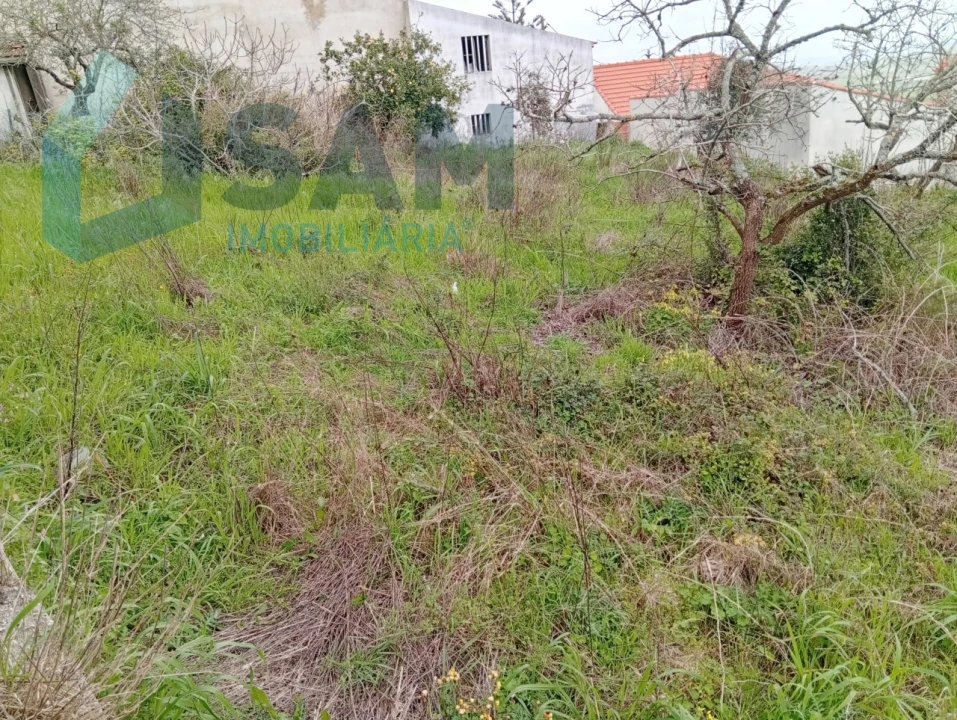 Moradia T1 para Venda em Carvoeira e Carmões Foto 12