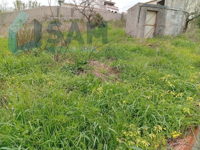 Moradia T1 para Venda em Carvoeira e Carmões Foto 8