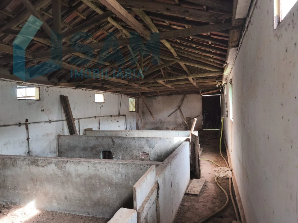 Terreno Misto para Venda em Ramalhal Foto 22