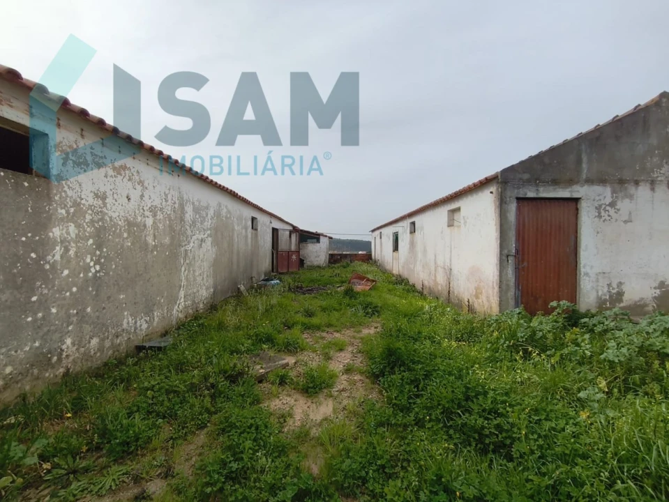 Terreno Misto para Venda em Ramalhal Foto 7