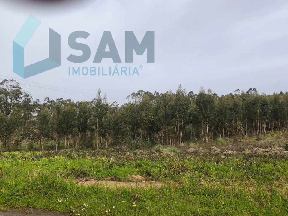 Terreno Misto para Venda em Ramalhal Foto 19